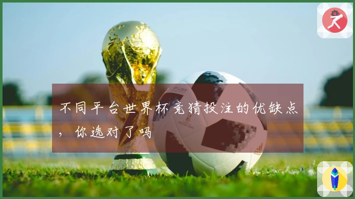 不同平台世界杯竞猜投注的优缺点，你选对了吗