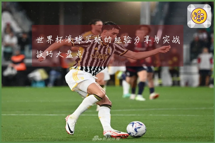 世界杯滚球买球的经验分享与实战技巧大盘点