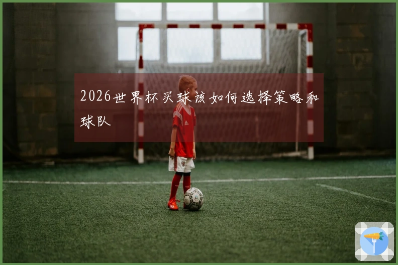 2026世界杯买球该如何选择策略和球队