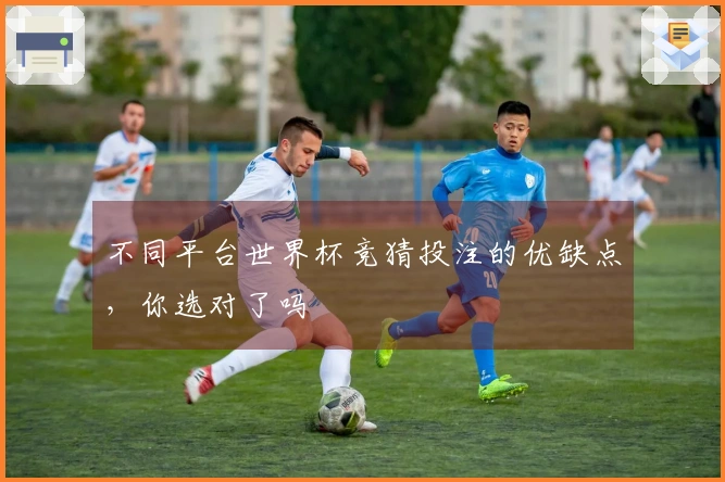 不同平台世界杯竞猜投注的优缺点，你选对了吗