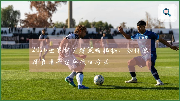 2026世界杯买球策略揭秘，如何选择靠谱平台和投注方式
