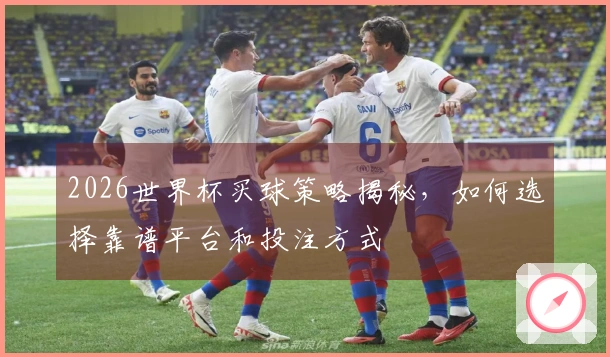 2026世界杯买球策略揭秘，如何选择靠谱平台和投注方式