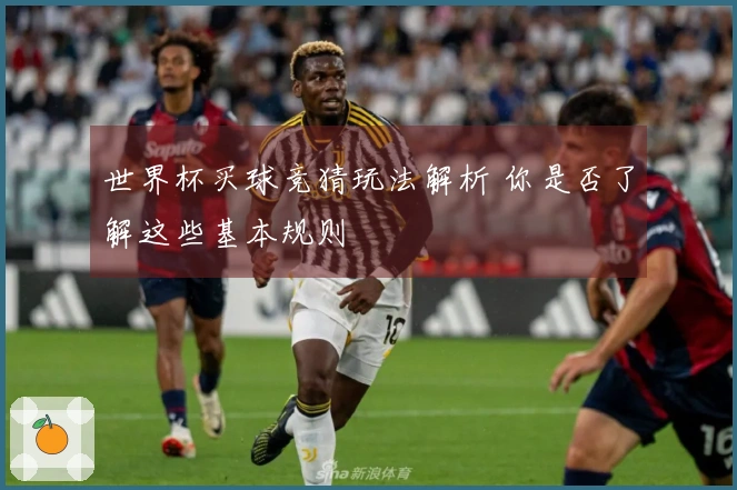 世界杯买球竞猜玩法解析 你是否了解这些基本规则