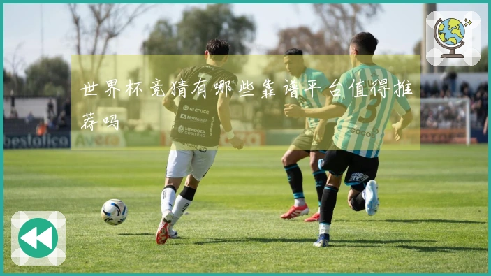 世界杯竞猜有哪些靠谱平台值得推荐吗