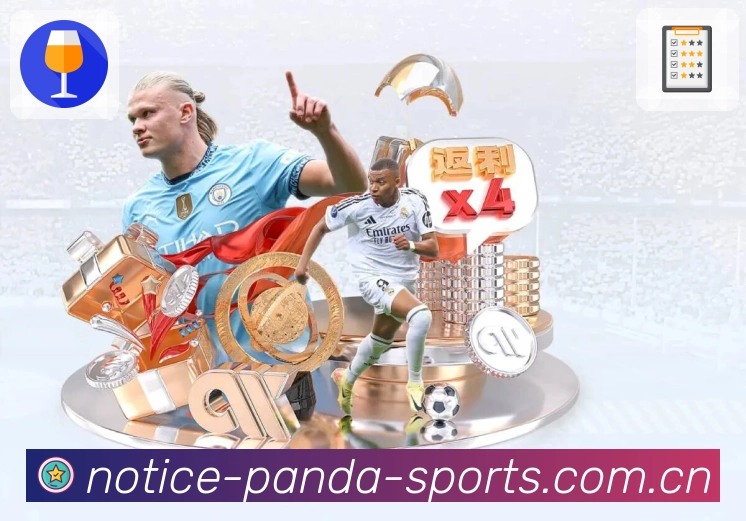 关注订阅 - 球队动态与消息提醒